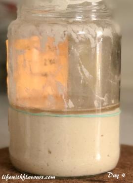 Sourdough Starter Day 4